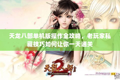 天龙八部单机版操作全攻略，老玩家私藏技巧如何让你一天通关