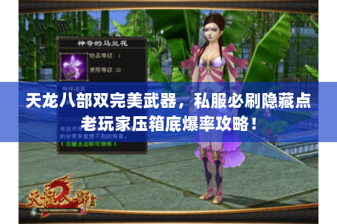 天龙八部双完美武器,私服必刷隐藏点老玩家压箱底爆率攻略! 天龙八部双完美武器,私服必刷隐藏点老玩家压箱底爆率攻略!