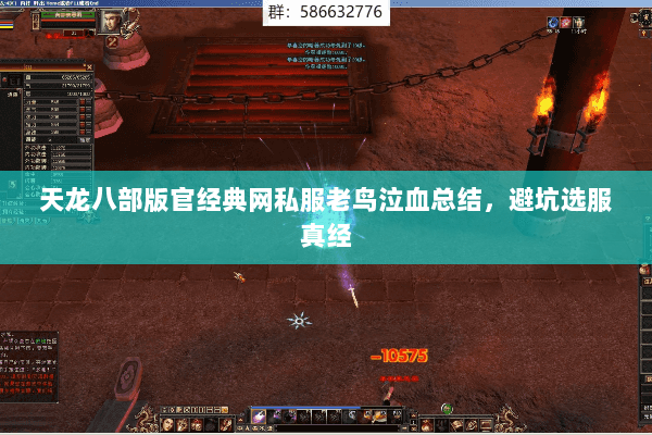 天龙八部版官经典网私服老鸟泣血总结，避坑选服真经