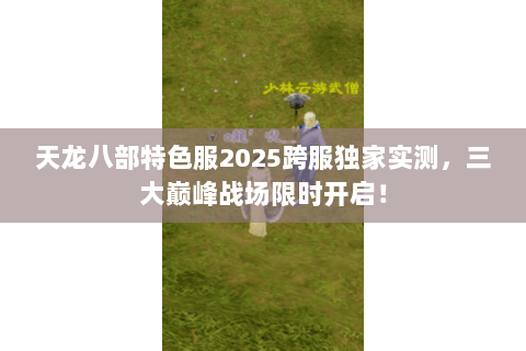 天龙八部特色服2025跨服独家实测，三大巅峰战场限时开启！