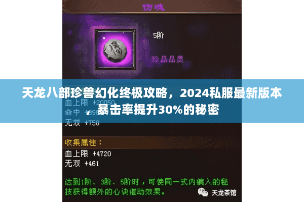 天龙八部珍兽幻化终极攻略，2024私服最新版本，暴击率提升30%的秘密