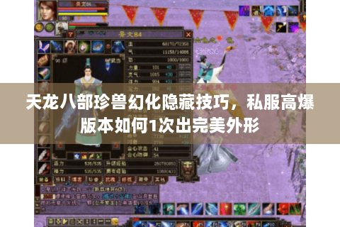 天龙八部珍兽幻化隐藏技巧，私服高爆版本如何1次出完美外形