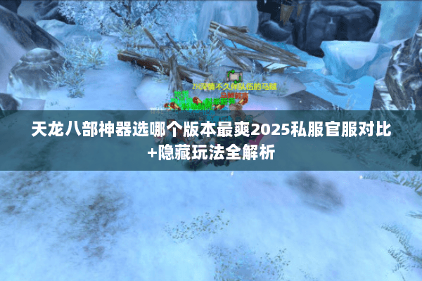 天龙八部神器选哪个版本最爽2025私服官服对比+隐藏玩法全解析