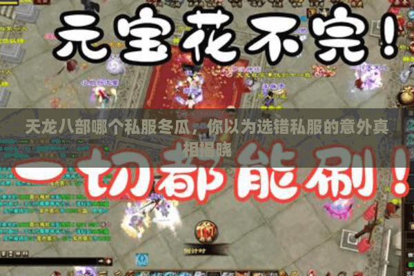 天龙八部哪个私服冬瓜，你以为选错私服的意外真相揭晓