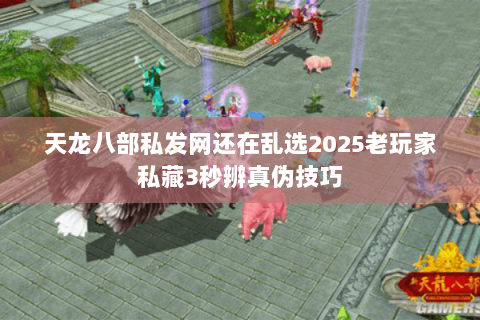 天龙八部私发网还在乱选2025老玩家私藏3秒辨真伪技巧