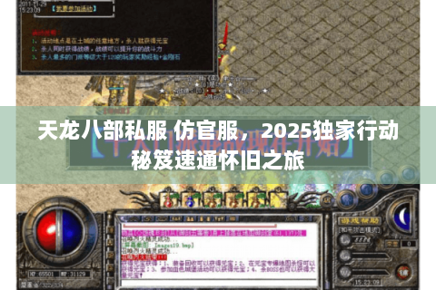 天龙八部私服 仿官服，2025独家行动秘笈速通怀旧之旅