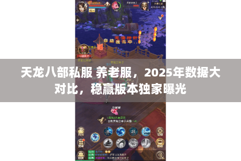 天龙八部私服 养老服，2025年数据大对比，稳赢版本独家曝光
