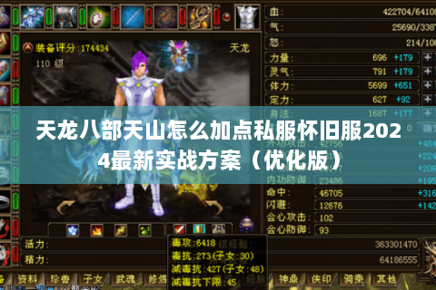 天龙八部天山怎么加点私服怀旧服2024最新实战方案（优化版）