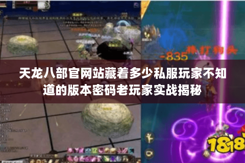 天龙八部官网站藏着多少私服玩家不知道的版本密码老玩家实战揭秘