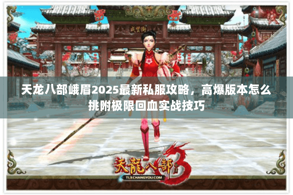 天龙八部峨眉2025最新私服攻略，高爆版本怎么挑附极限回血实战技巧