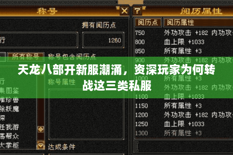天龙八部开新服潮涌,资深玩家为何转战这三类私服 天龙八部开新服潮涌,资深玩家为何转战这三类私服