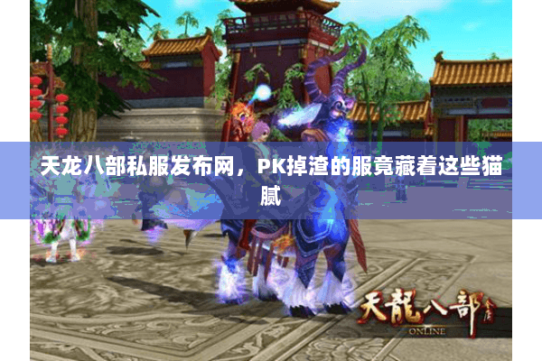 天龙八部私服发布网，PK掉渣的服竟藏着这些猫腻