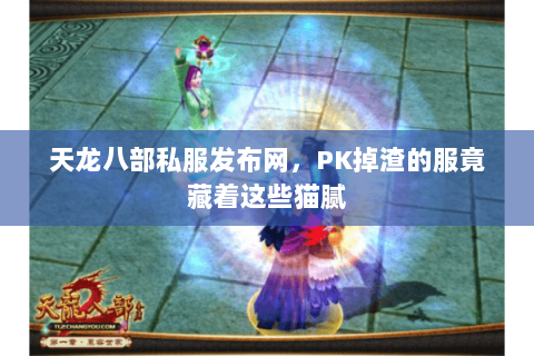 天龙八部私服发布网，PK掉渣的服竟藏着这些猫腻
