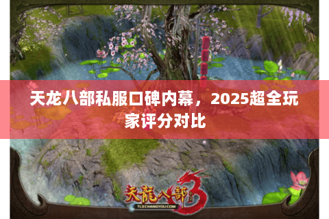 天龙八部私服口碑内幕，2025超全玩家评分对比
