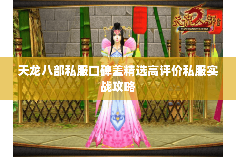 天龙八部私服口碑差精选高评价私服实战攻略