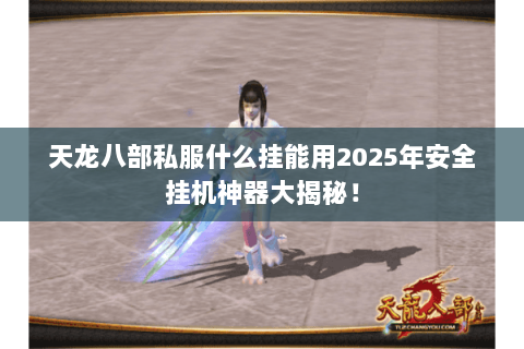 天龙八部私服什么挂能用2025年安全挂机神器大揭秘！