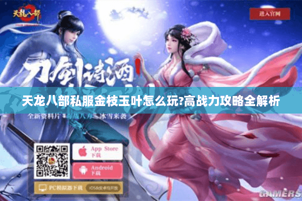 天龙八部私服金枝玉叶怎么玩?高战力攻略全解析
