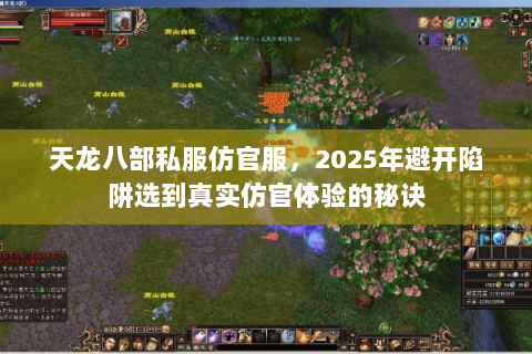 天龙八部私服仿官服，2025年避开陷阱选到真实仿官体验的秘诀