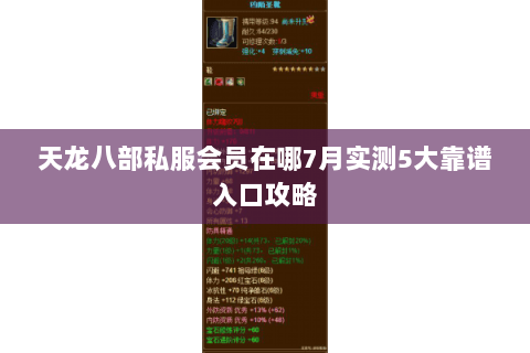 天龙八部私服会员在哪7月实测5大靠谱入口攻略