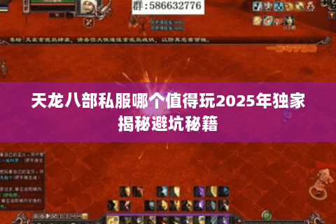 天龙八部私服哪个值得玩2025年独家揭秘避坑秘籍
