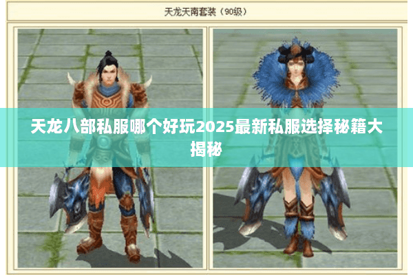 天龙八部私服哪个好玩2025最新私服选择秘籍大揭秘