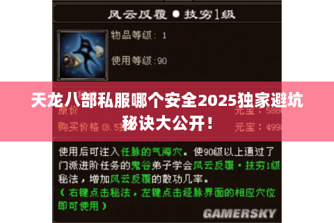 天龙八部私服哪个安全2025独家避坑秘诀大公开！