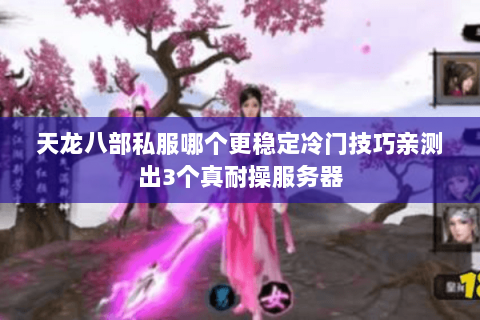 天龙八部私服哪个更稳定冷门技巧亲测出3个真耐操服务器