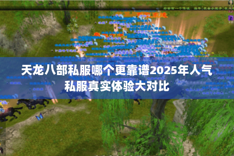 天龙八部私服哪个更靠谱2025年人气私服真实体验大对比