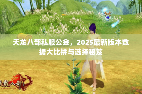 天龙八部私服公会，2025最新版本数据大比拼与选择秘笈