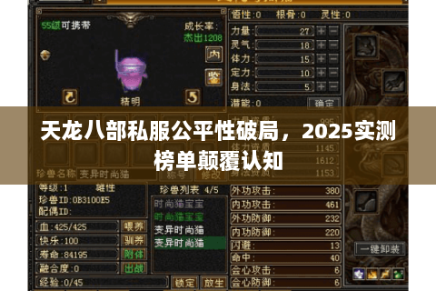 天龙八部私服公平性破局,2025实测榜单颠覆认知 天龙八部私服公平性破局,2025实测榜单颠覆认知