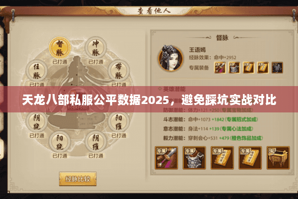 天龙八部私服公平数据2025,避免踩坑实战对比 天龙八部私服公平数据2025,避免踩坑实战对比