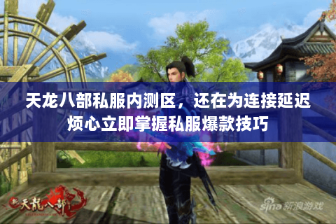 天龙八部私服内测区,还在为连接延迟烦心立即掌握私服爆款技巧 天龙八部私服内测区,还在为连接延迟烦心立即掌握私服爆款技巧