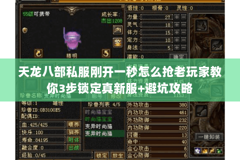天龙八部私服刚开一秒怎么抢老玩家教你3步锁定真新服+避坑攻略