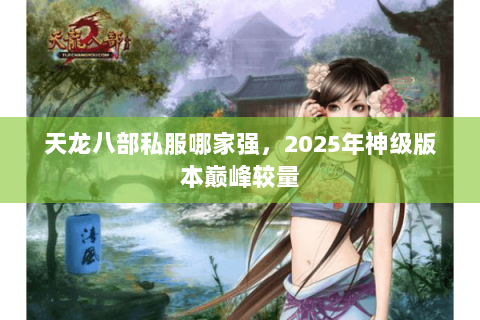 天龙八部私服哪家强，2025年神级版本巅峰较量