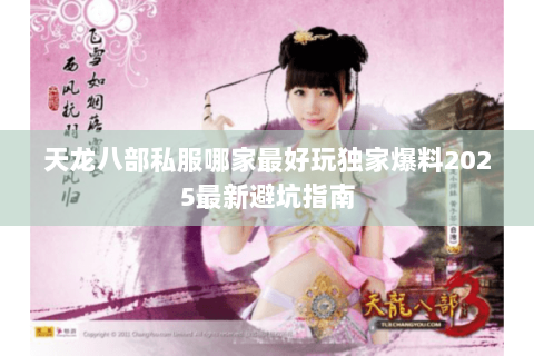 天龙八部私服哪家最好玩独家爆料2025最新避坑指南