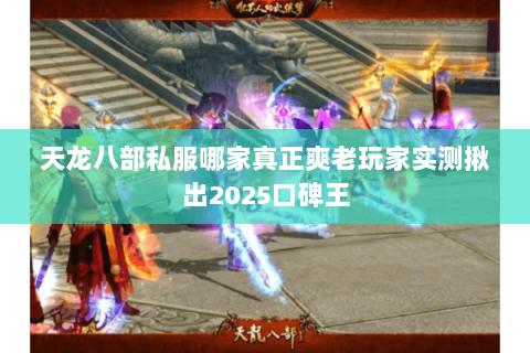 天龙八部私服哪家真正爽老玩家实测揪出2025口碑王