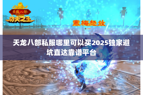 天龙八部私服哪里可以买2025独家避坑直达靠谱平台