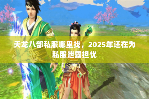 天龙八部私服哪里找，2025年还在为私服泄露担忧