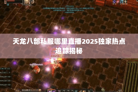 天龙八部私服哪里直播2025独家热点追踪揭秘