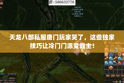 天龙八部私服唐门玩家哭了，这些独家技巧让冷门门派变霸主！