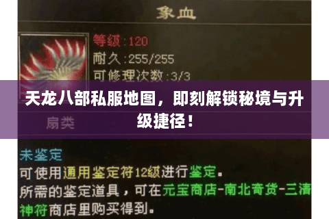 天龙八部私服地图，即刻解锁秘境与升级捷径！