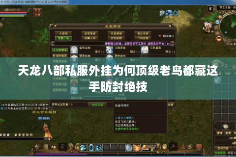 天龙八部私服外挂为何顶级老鸟都藏这手防封绝技