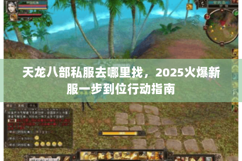 天龙八部私服去哪里找，2025火爆新服一步到位行动指南