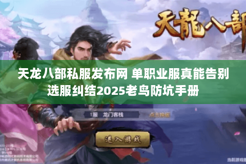 天龙八部私服发布网 单职业服真能告别选服纠结2025老鸟防坑手册