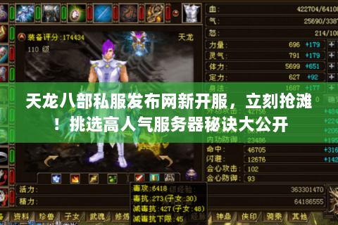 天龙八部私服发布网新开服，立刻抢滩！挑选高人气服务器秘诀大公开