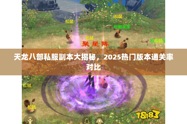天龙八部私服副本大揭秘，2025热门版本通关率对比