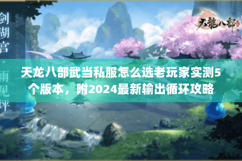 天龙八部武当私服怎么选老玩家实测5个版本，附2024最新输出循环攻略