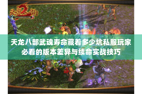 天龙八部武魂寿命藏着多少坑私服玩家必看的版本差异与续命实战技巧