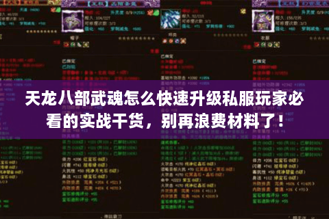 天龙八部武魂怎么快速升级私服玩家必看的实战干货，别再浪费材料了！