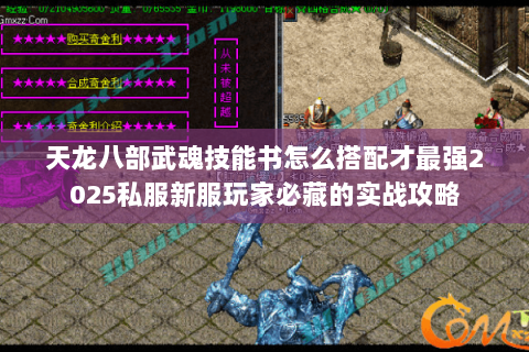 天龙八部武魂技能书怎么搭配才最强2025私服新服玩家必藏的实战攻略